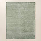 Anders Smoked Green TENCEL™ Lyocell Area Rug 10'x14'