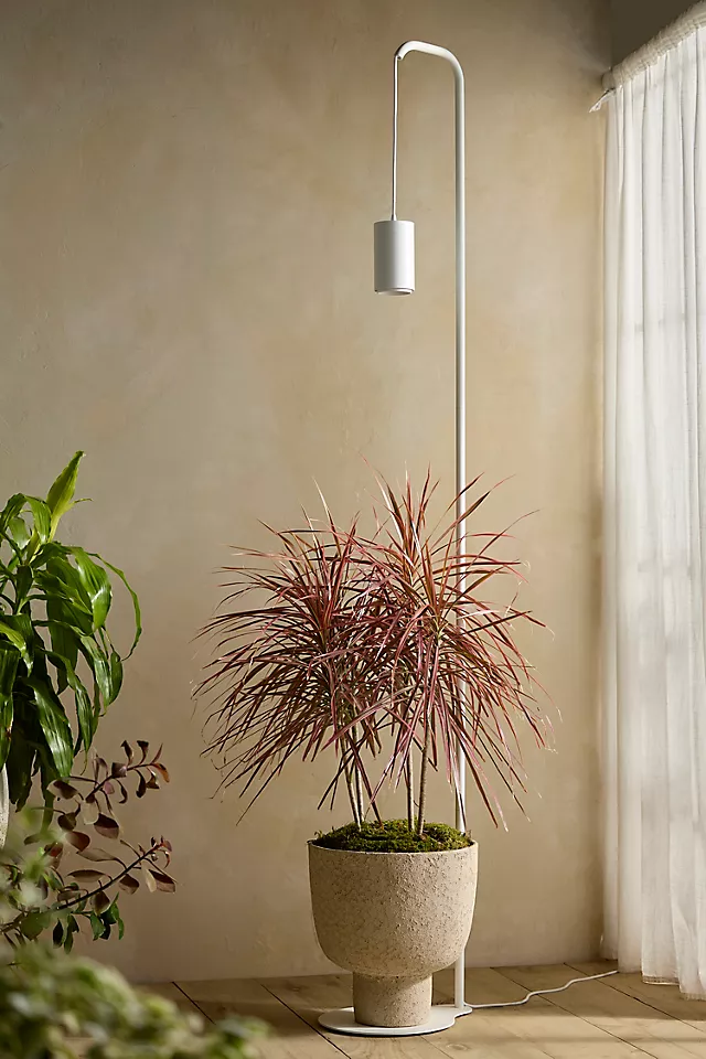 Soltech Floor Lamp LED Grow Light